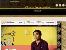 Tablet Screenshot of cheezepom.com